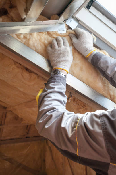 Best Insulation for Specific Applications in Rlsbad, CA